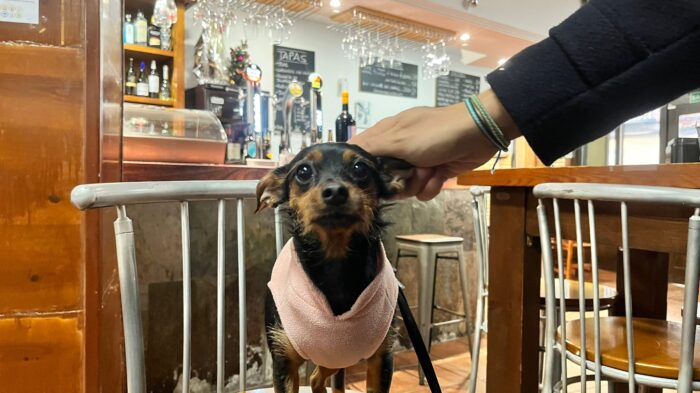 Imagen de WhatsApp 2024-12-23 a las 22.25.59_9099effc
